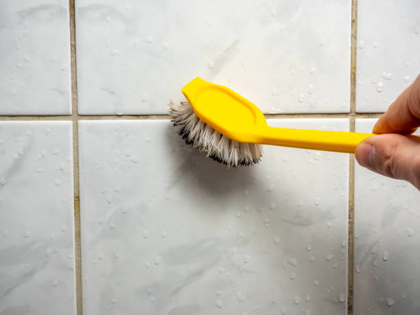 Best Mold Testing and Inspection Services in Brookhaven, WV